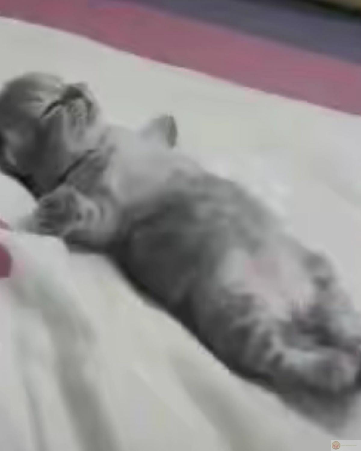 Mỗi ngày ngủ thêm 5 phút là mỗi ngày muộn