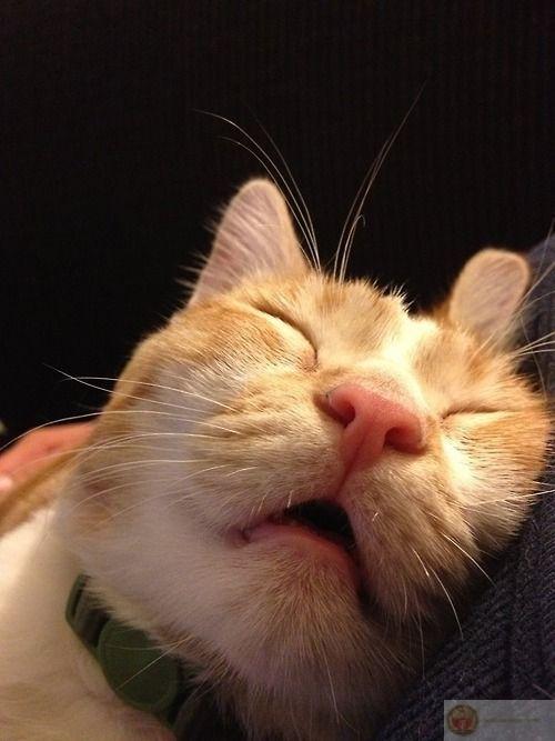 Khi bạn ngủ, mọi thứ tạm thời không tồn tại