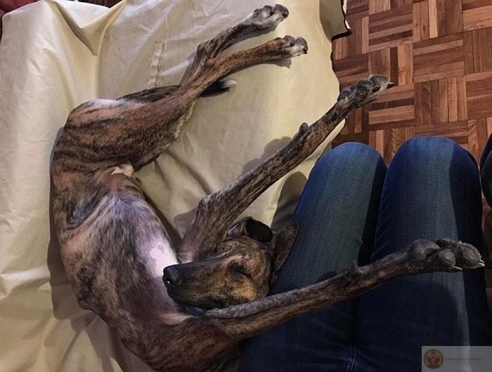 Thích ngủ hơn thích nói chuyện với con người