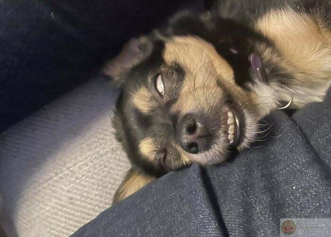 Khi bạn buồn, hãy ngủ, ít ra không phải nghĩ