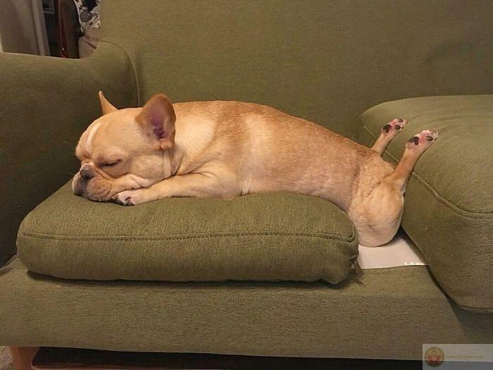 Chỉ cần gối và chăn là quên hết sự đời