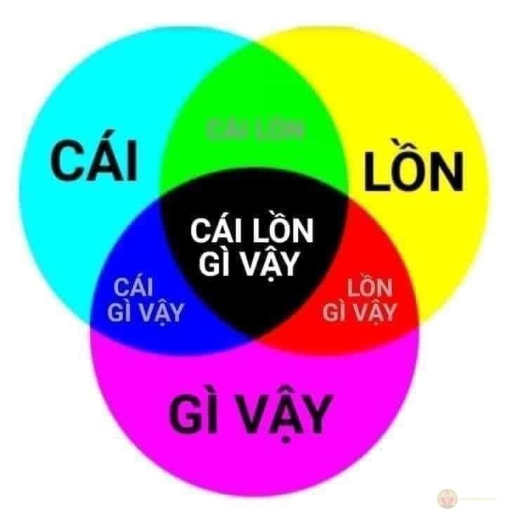 Khi có cái l kèm con c, cuộc hội thoại trở nên rộn ràng tiếng cười