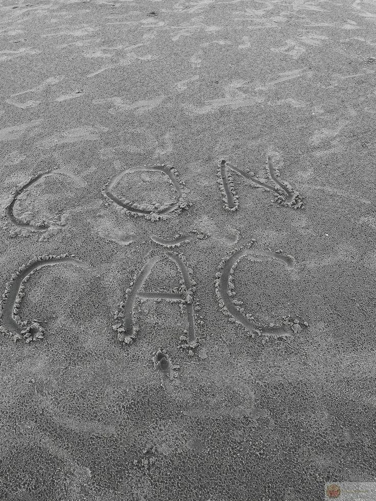 Meme có cái l ghép cùng con c được sáng tạo không ngừng mỗi ngày