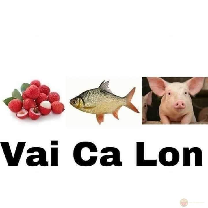 Tiếng cười bùng nổ từ meme có cái l lan nhanh trên mạng