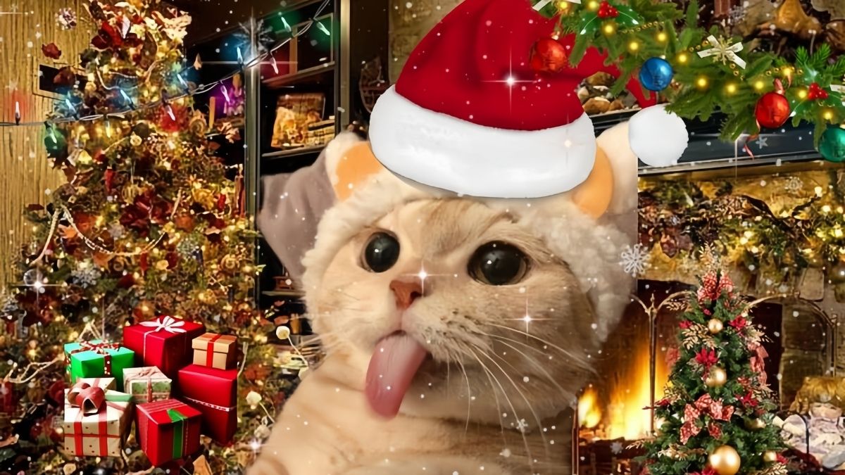 Mèo meme siêu đáng yêu về Noel