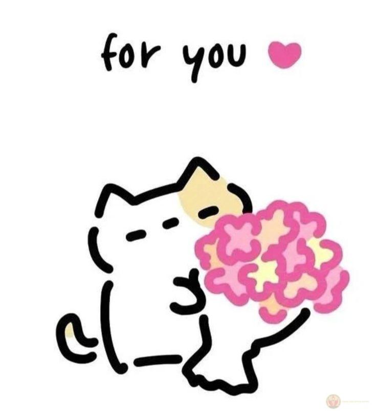 Chú mèo nhỏ với bông hoa cúc trở thành ảnh chế lan truyền nhanh chóng khắp mạng