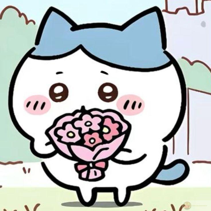 Meme mèo tặng hoa hài hước thường xuất hiện trong comment troll cực duyên dáng