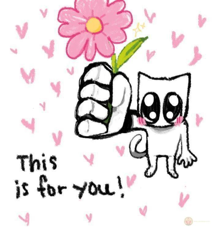 Reaction mèo tặng hoa nhanh chóng trở thành sticker hot trend trong các group chat