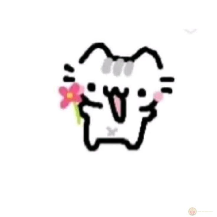 Chú mèo ngốc nghếch với bó hoa nhỏ bé khiến cộng đồng mạng cười thả tim liên tục