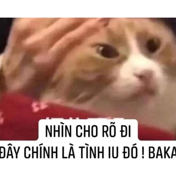 Meme tình yêu hài hước