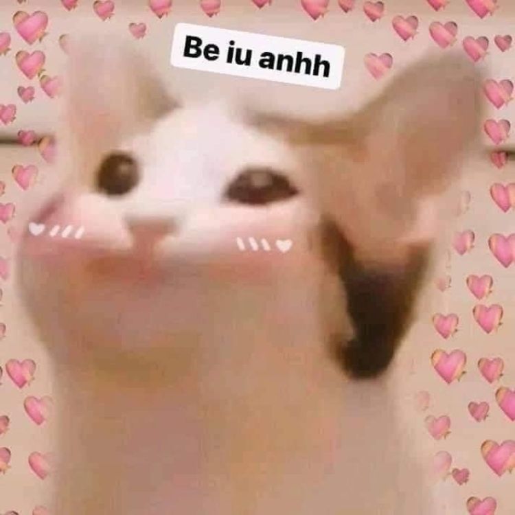 Meme tình yêu mèo