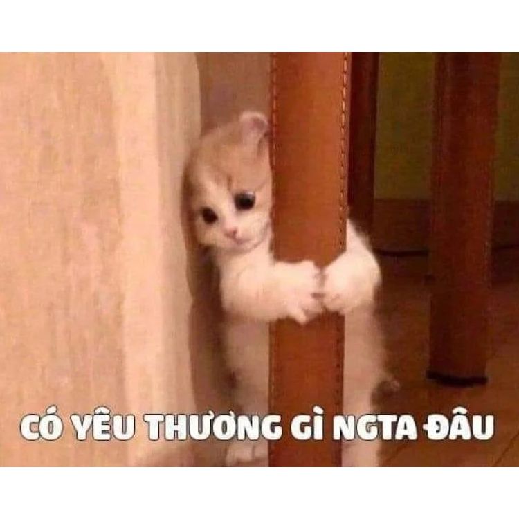 Có yêu thương gì người ta đâu