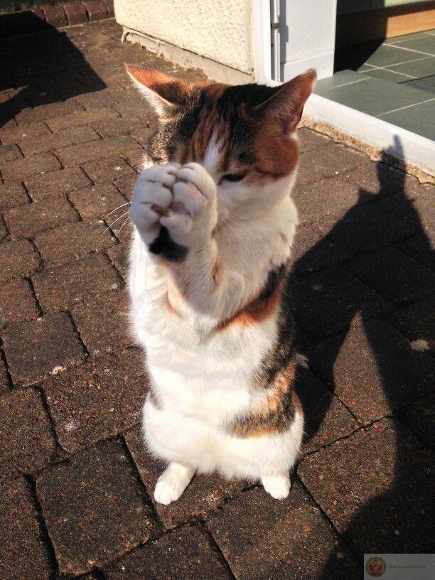 Tôi biết xin lỗi, chỉ không chắc lần sau nhớ