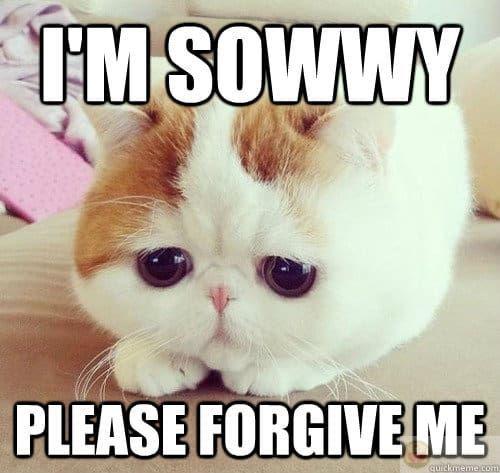 Xin lỗi nha, lỡ tay thôi, mà lỡ hoài