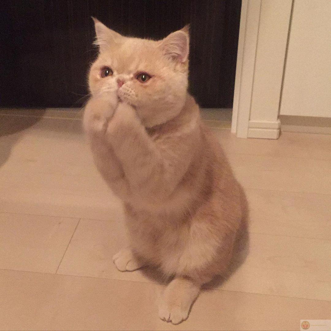 Tôi đã xin lỗi rồi, giờ tới phiên bạn nín