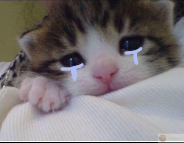 Tôi không ngại nhận lỗi, miễn là không bị la