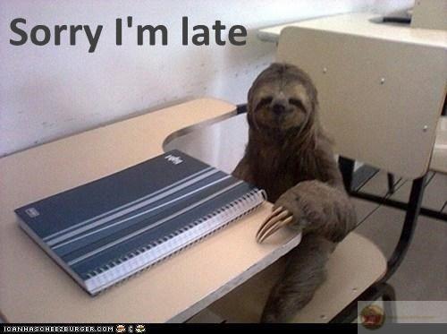 Gửi lời xin lỗi qua ánh mắt… nhìn sang chỗ khác