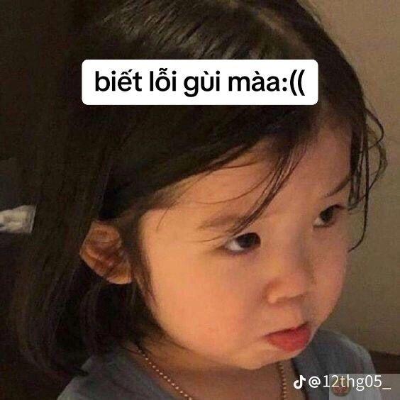 Tôi không sai, chỉ là mọi người không hiểu ý tôi