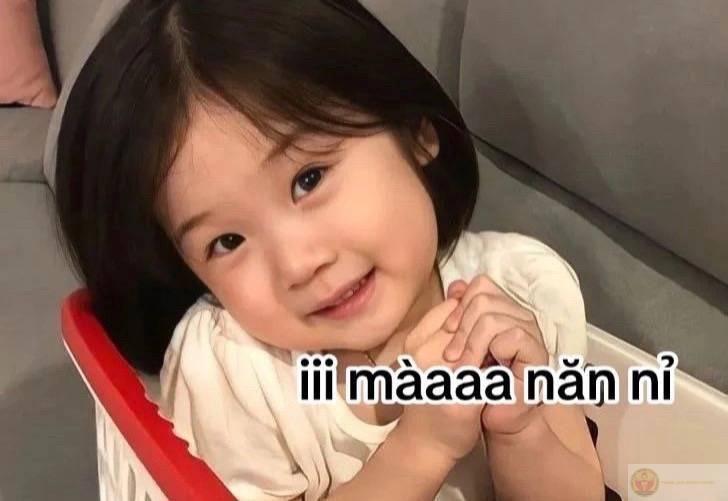 Xin lỗi xong còn phải an ủi thêm, mệt ghê