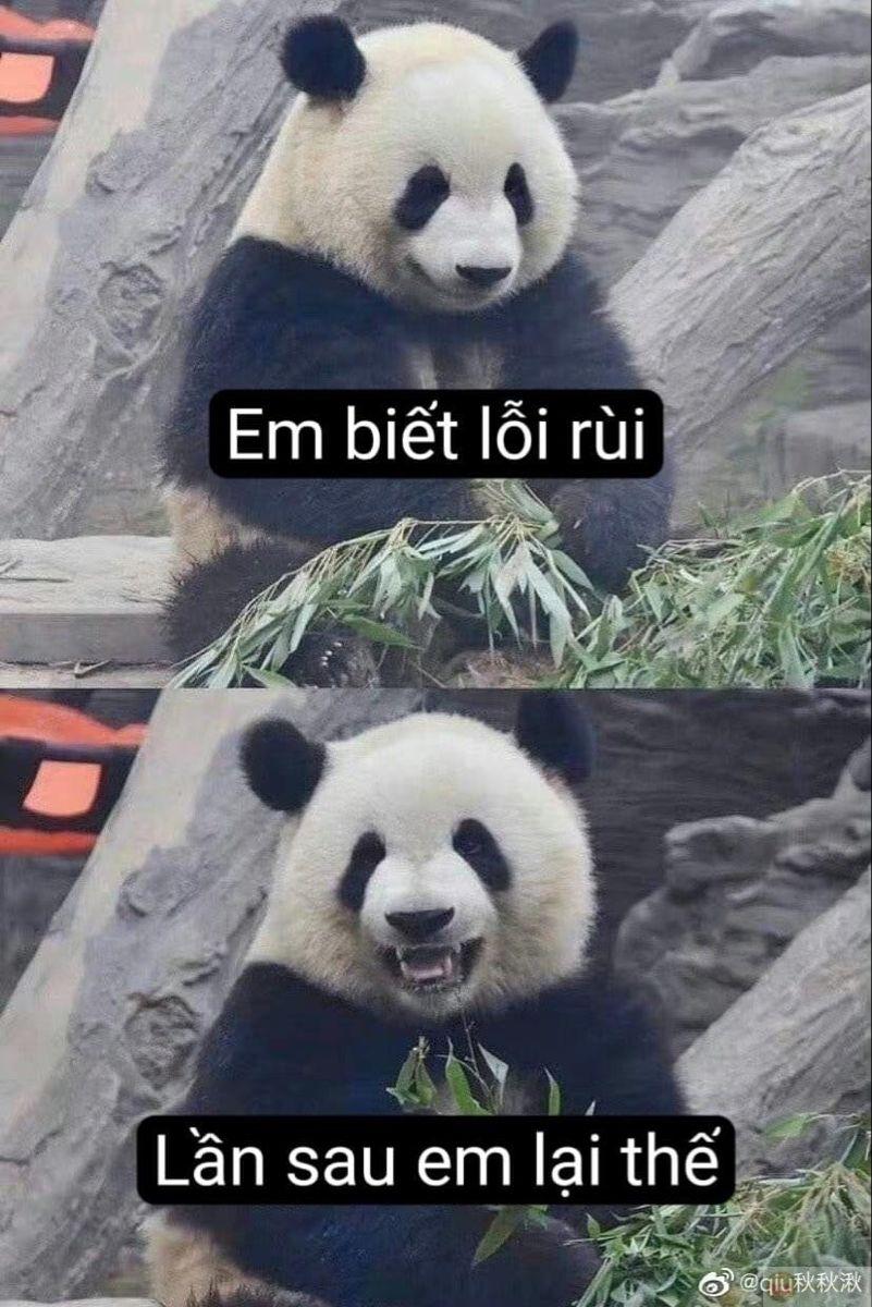 Tôi đã nói xin lỗi, còn tha thứ là việc của bạn