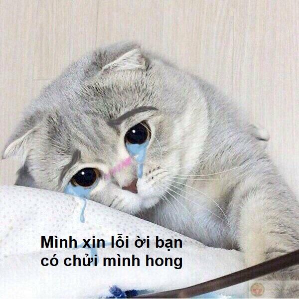 Xin lỗi vì sự vô tư có phần quá đáng