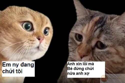 Có lẽ mình sai rồi, mà thôi… xin lỗi