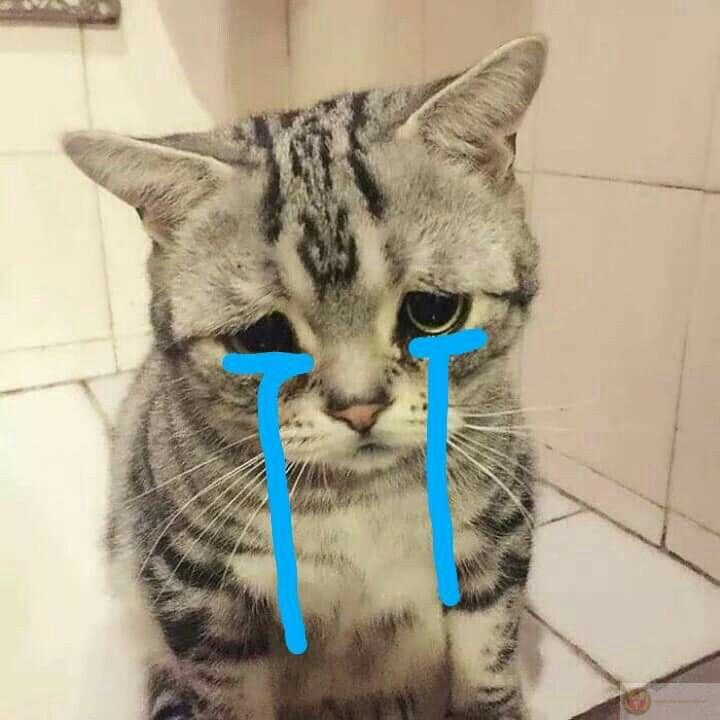 Mồm nói xin lỗi, lòng đang nghĩ