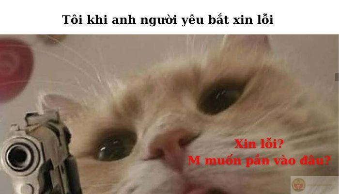 Xin lỗi meme