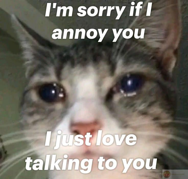 Tôi sai rồi, nhưng bạn có cần căng vậy không?