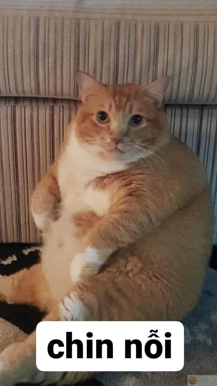 Tôi sai rồi, và bạn cũng sai vì tin tôi