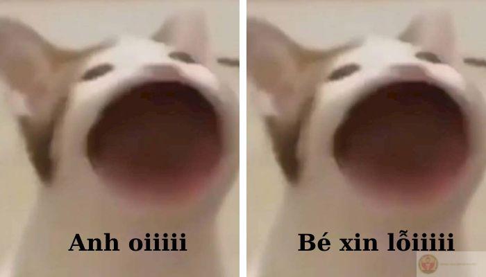 Xin lỗi vì mọi chuyện, trừ việc tôi là chính tôi