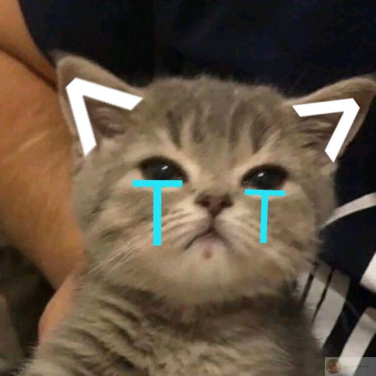 Tôi không cố ý đâu, lần nào cũng thế thôi