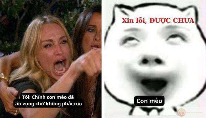 Mặt xin lỗi, lòng đang nghĩ tới ăn gì trưa nay