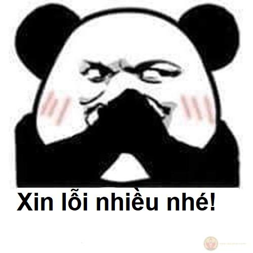 Xin lỗi được chưa meme