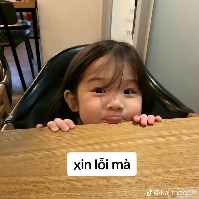 Thật ra không biết mình sai gì, nhưng xin lỗi trước