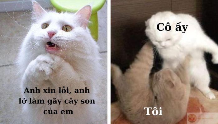 Tôi xin lỗi nhưng… bạn cũng sai đó nha