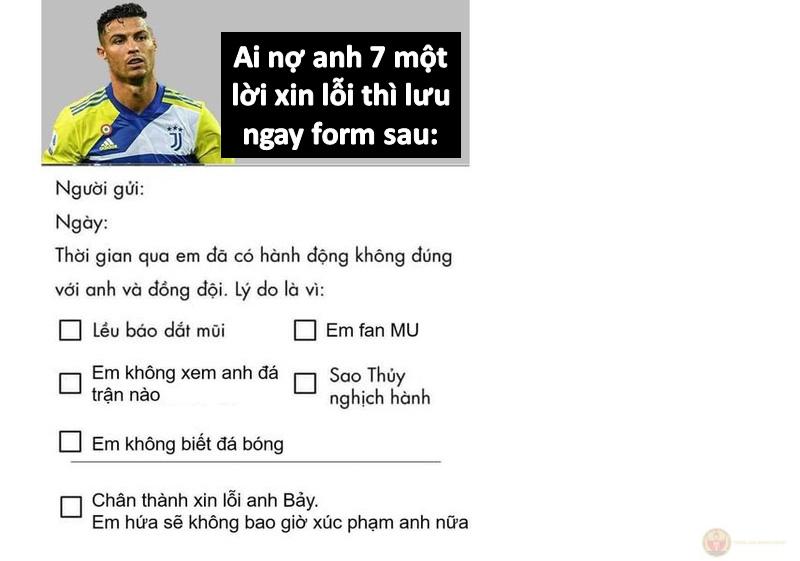 Không phải xin lỗi vì mình sai, mà vì lười cãi