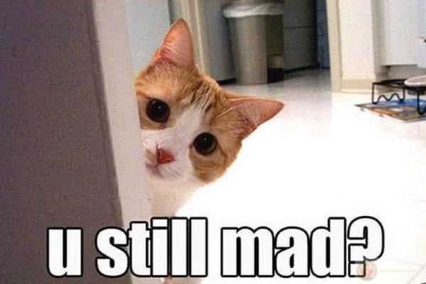 Một lời xin lỗi đi kèm icon mặt khóc