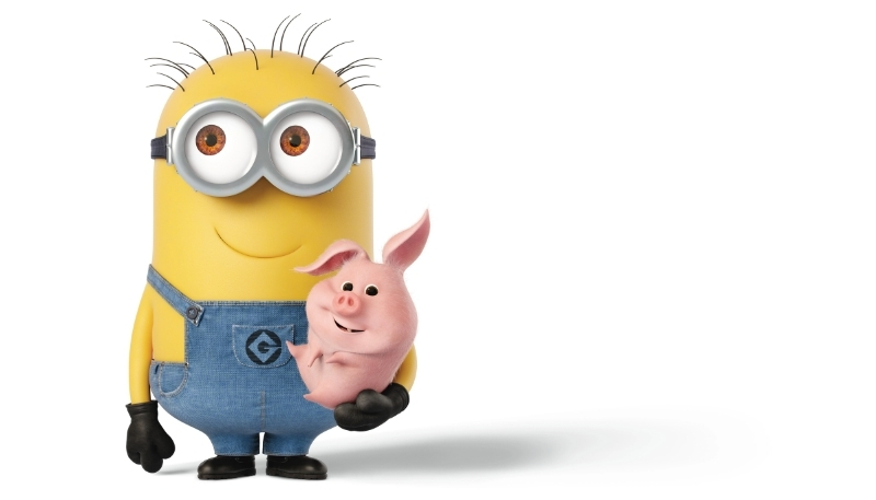 Hình Minions Stuart hài hước cho máy tính