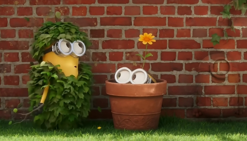Hình Minions ngây ngô, dễ thương cho máy tính