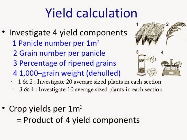 ước tính năng suất cây trồng