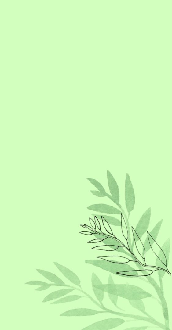 hình nền màu xanh lá cây cho iphone