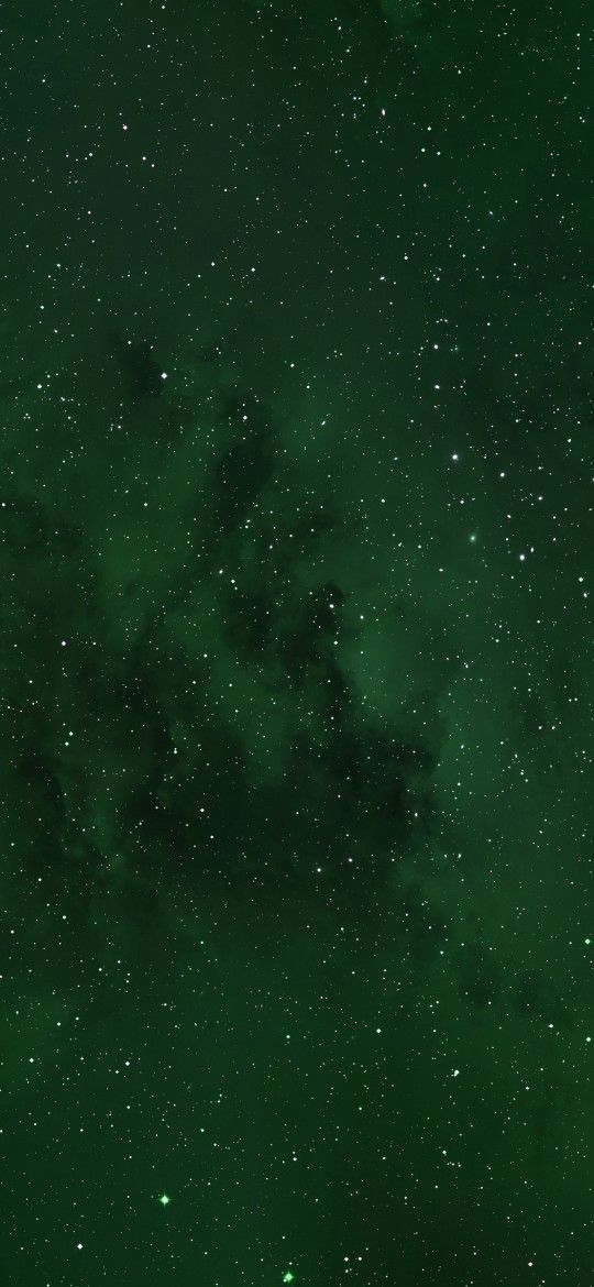 hình nền màu xanh lá