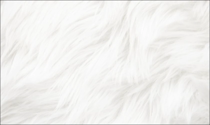 Nền trắng trơn đơn giản lông