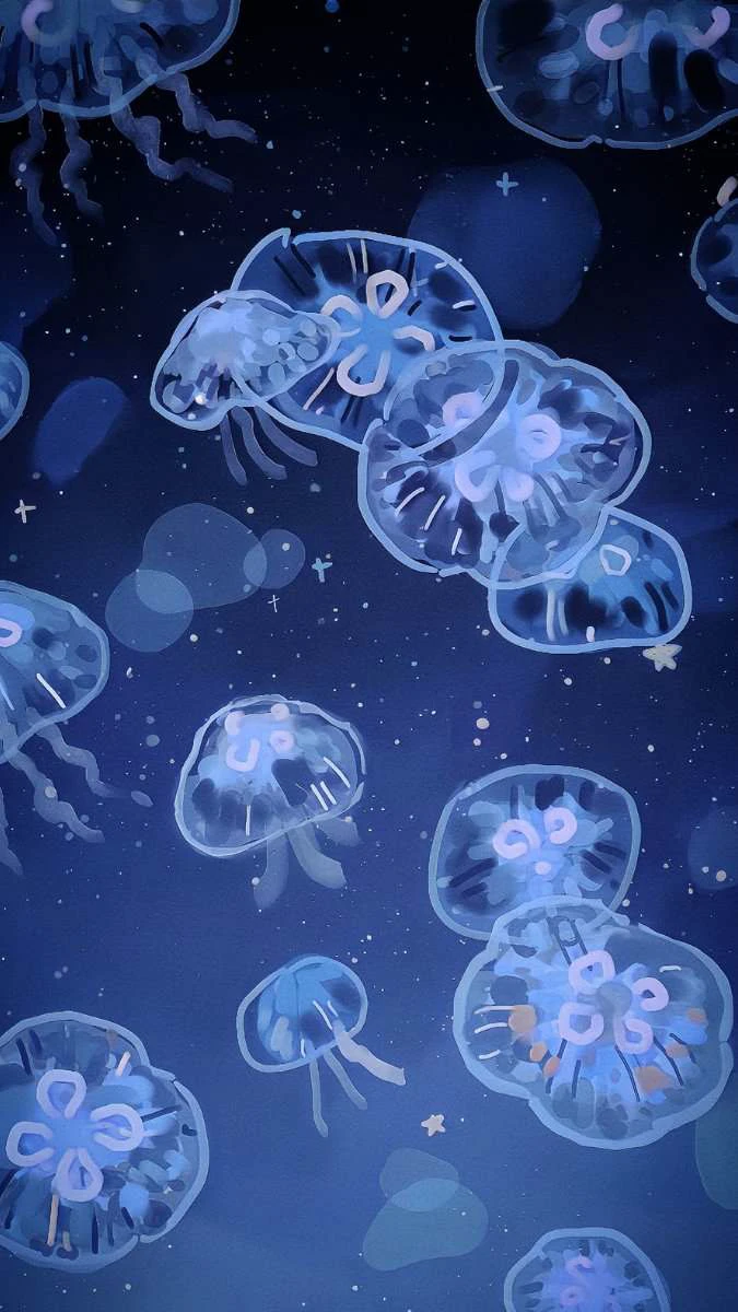 Biển cả mênh mông vào ban đêm