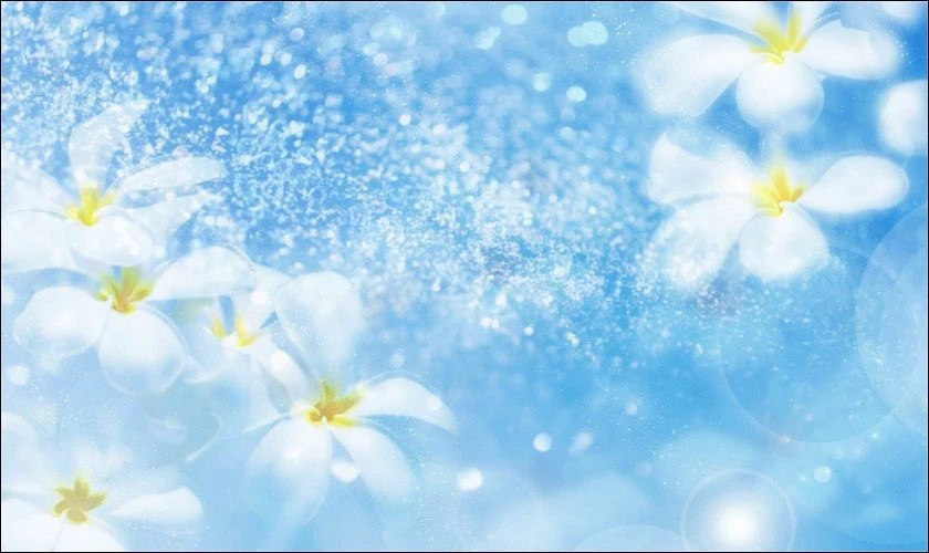 Hình nền màu xanh dương đẹp cài máy tính