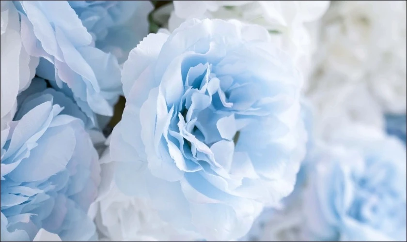 Ảnh nền cài màn hình máy tính tone nhẹ nhàng