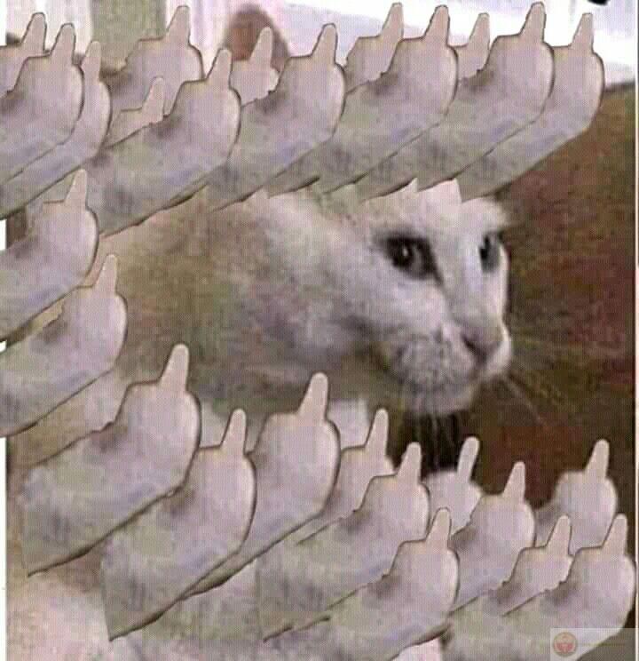 Khi tâm trạng tệ hại, giơ ngón giữa là cách phản ứng gọn gàng