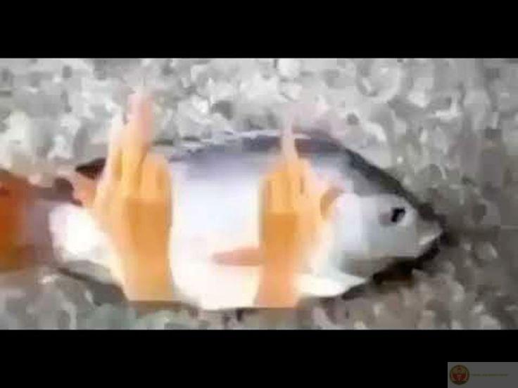 Hình ảnh ngón tay giữa meme phản ánh sự châm biếm thú vị của giới trẻ online