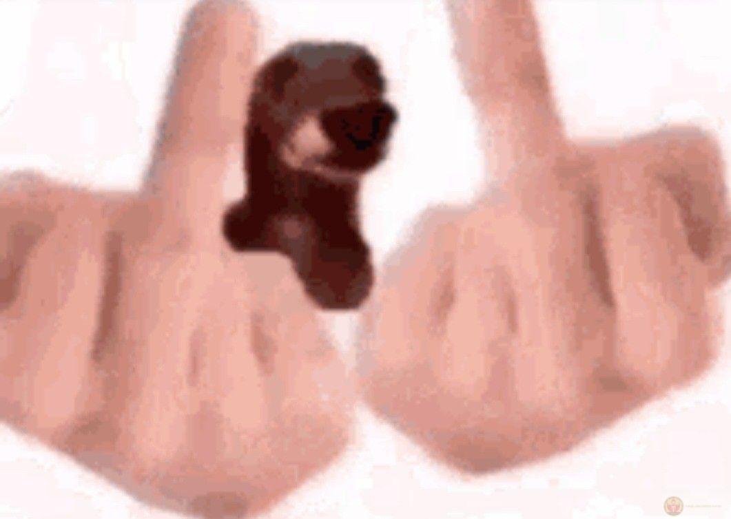 Meme fuck mang đến cảm giác mỉa mai hài hước trong nhiều cuộc trò chuyện online